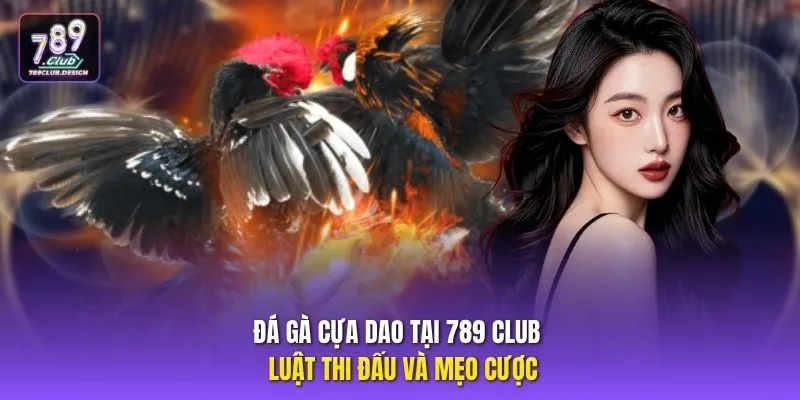 Đá Gà Cựa Dao